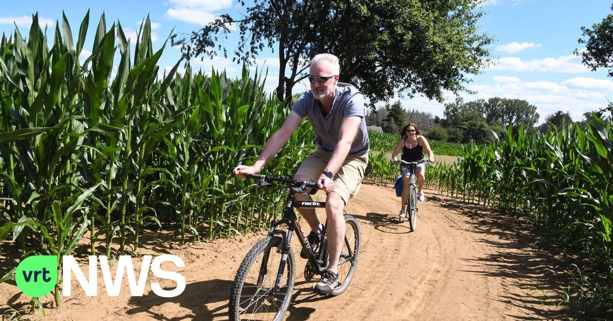 Gratis Fietsen door de Maïs