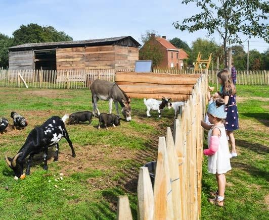 Dierenweide Foto01
